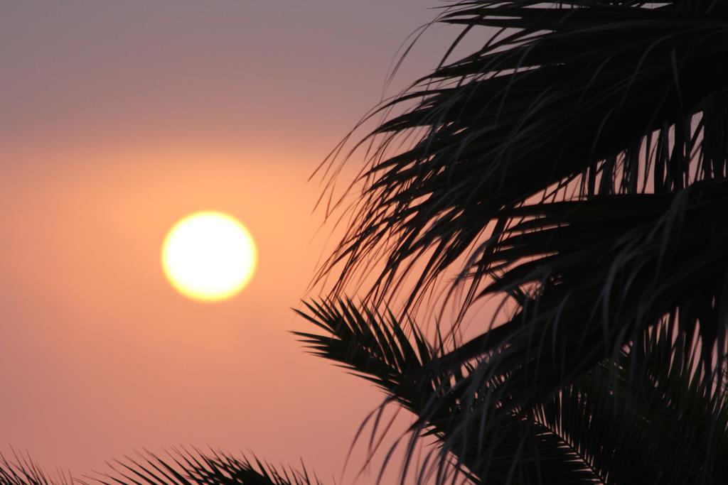 Chill In Ericeira Surf House Hostel ภายนอก รูปภาพ
